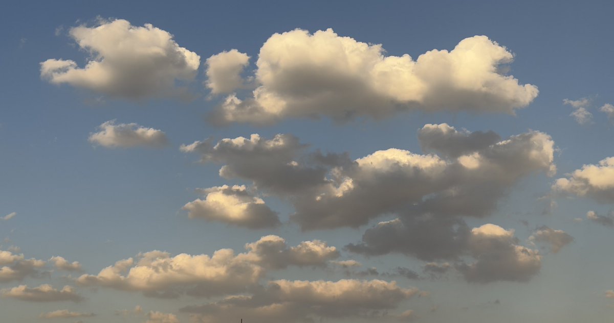 الشسمه tweet media