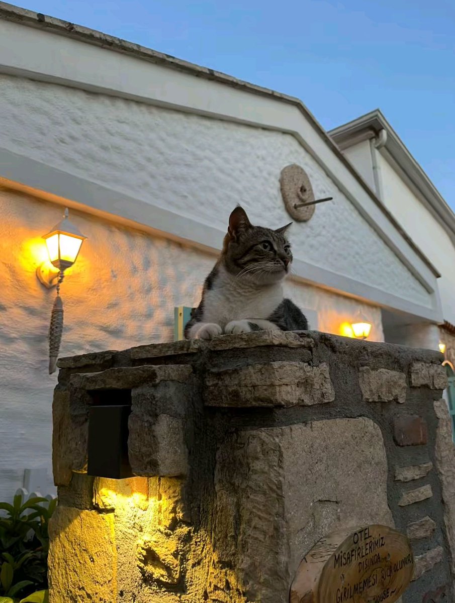 ecrin🇷🇺 tweet media