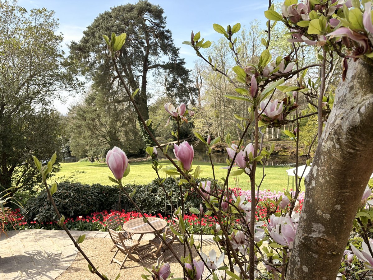 Blush2783's tweet photo. Another beautiful day so we visited Pashley Manor gardens which had very pretty displays of tulips all over the grounds and a lovely cafe! https://t.co/XDdWyU3yvD