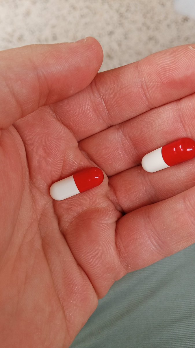 صلوا على النبي/solaire/tixy tweet media