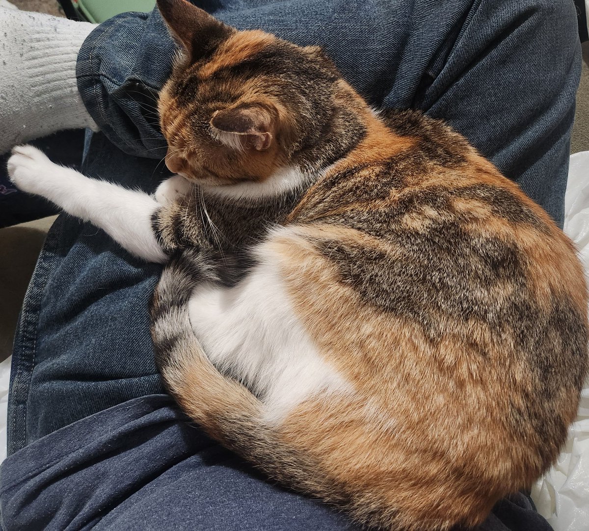 Scott Morris tweet media