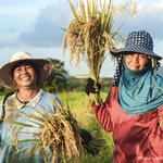 Photo by Food Systems, Land Use and Restoration (FOLUR) (@FOLURimpact)