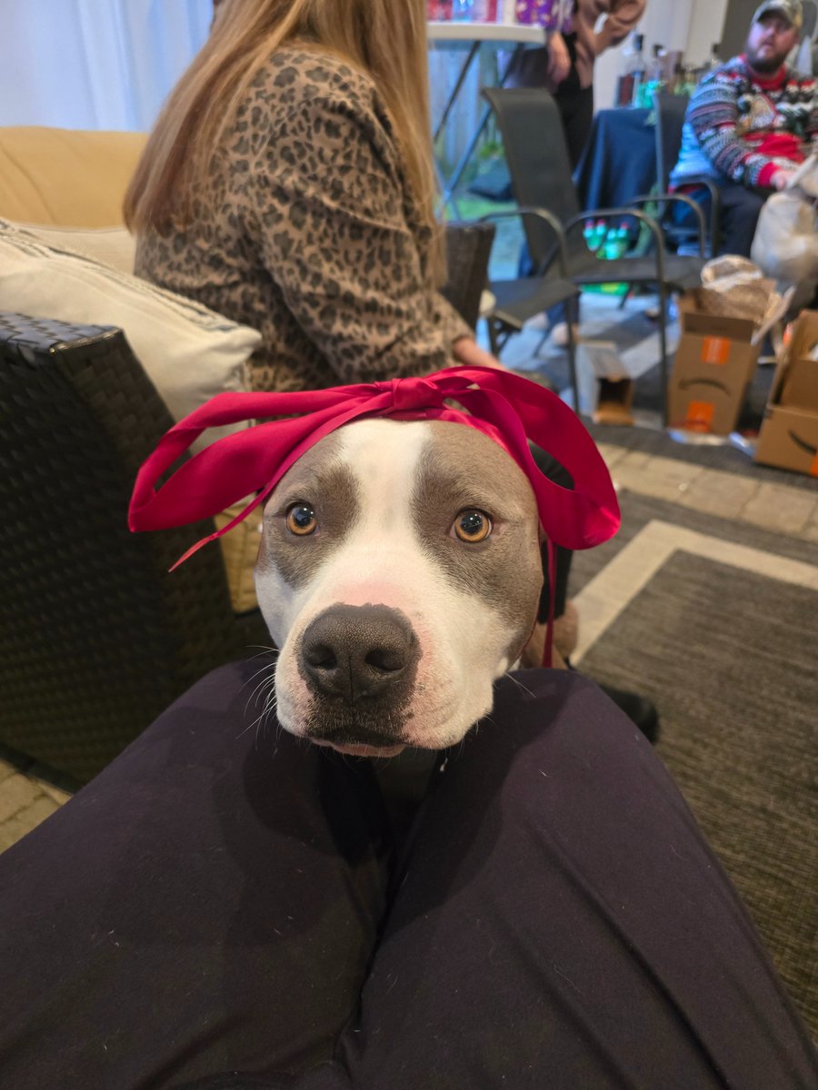 Xfizzyelf tweet media