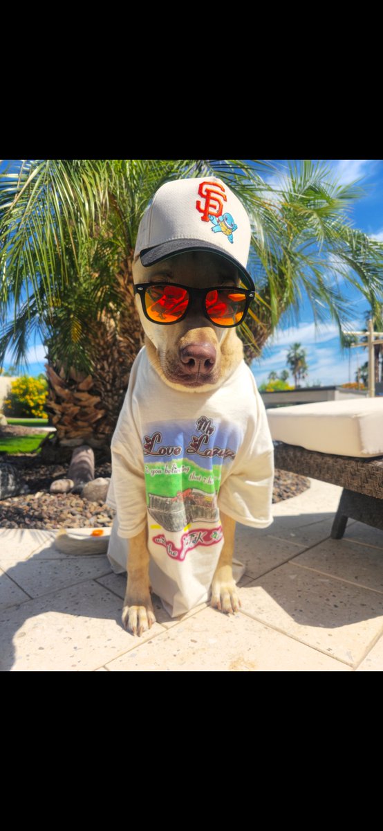 Xfizzyelf tweet media