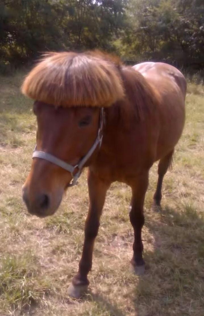 Romero.RAR tweet media