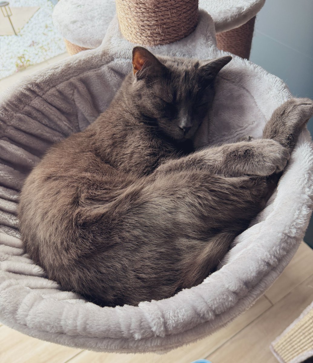 John Do (zonder e) 👨‍💻 tweet media