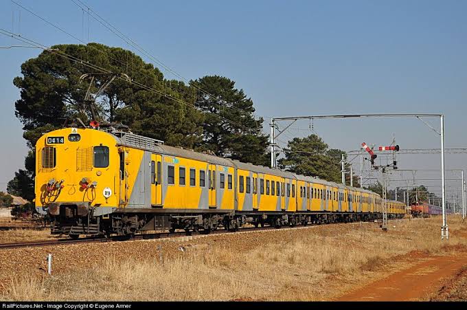 Constitution First 🇿🇦 tweet media