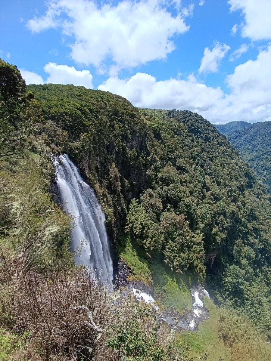 Kiprono Leting tweet media