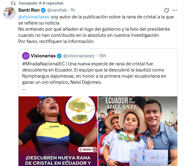 Ronny David tweet media