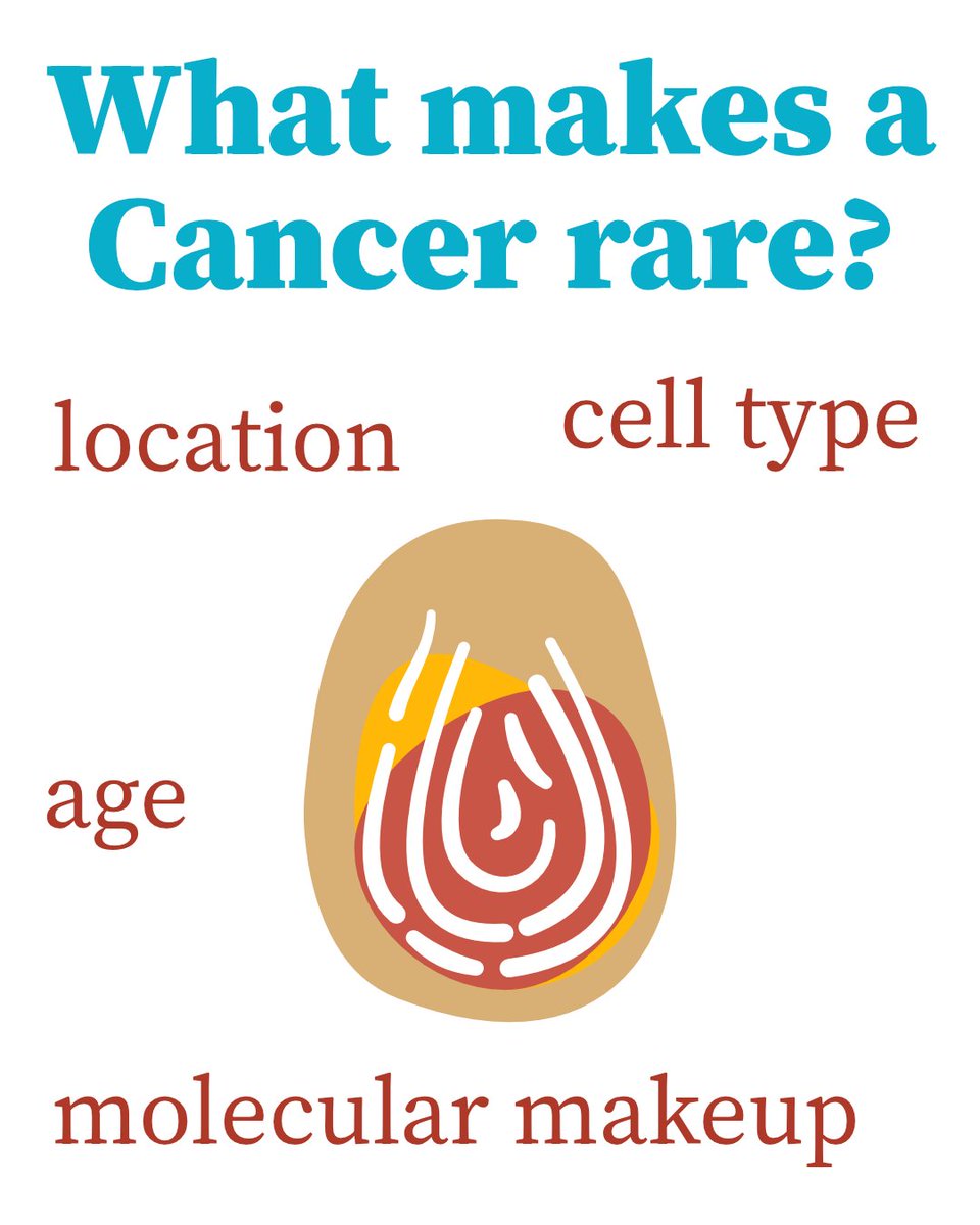 TRACER_Cancer's tweet photo. What makes a cancer “rare”?

By definition, it’s fewer than 6 cases per 100,000 people. But in reality, rare cancers represent a meaningful share of the global cancer burden.  

Each one is shaped by where it arises, when it appears, and how it develops at a molecular level. https://t.co/prMWpDwEob