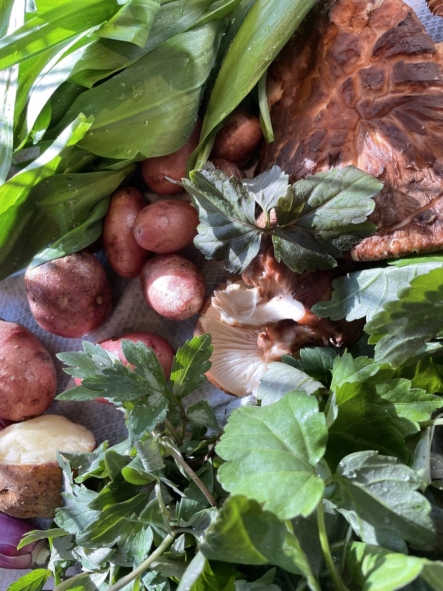 Nicholas 🌱🍎 tweet media