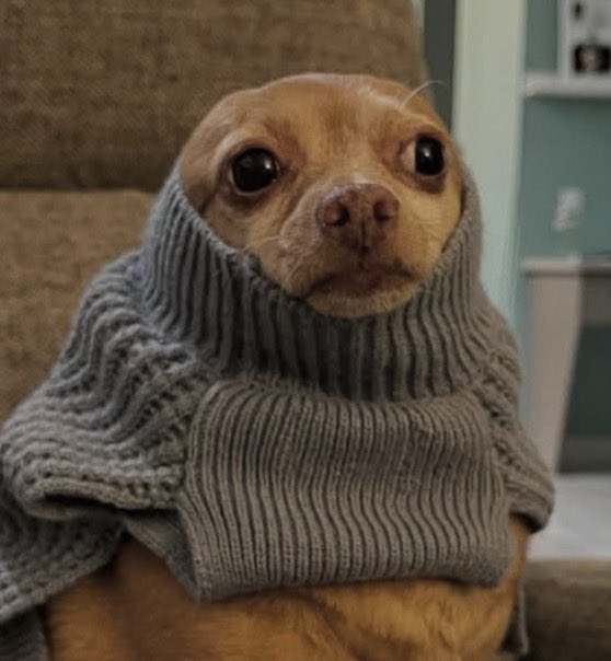 Captain 🪩 tweet media