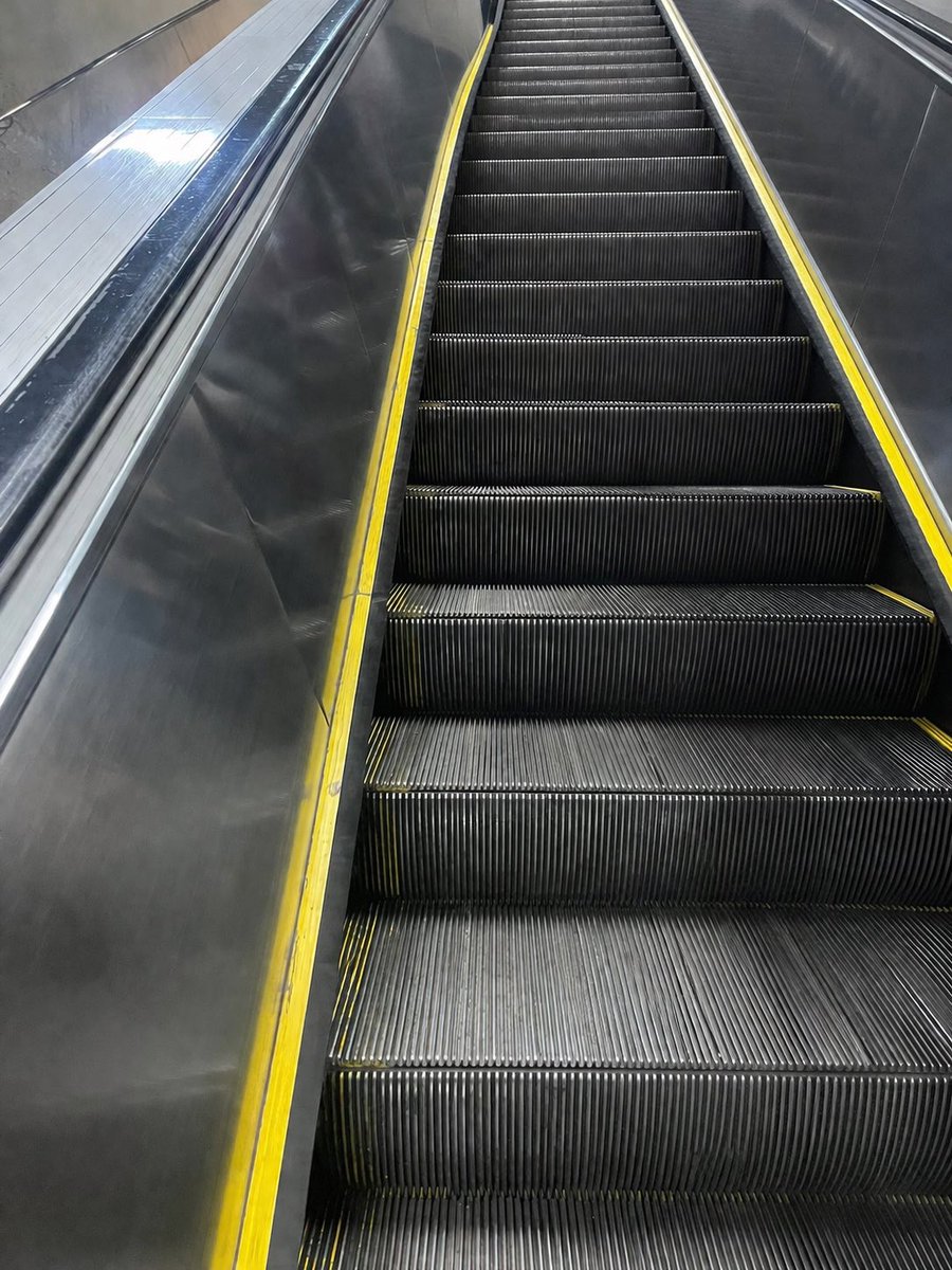 Olhe em volta, Robertinho. Você está completamente sozinho.