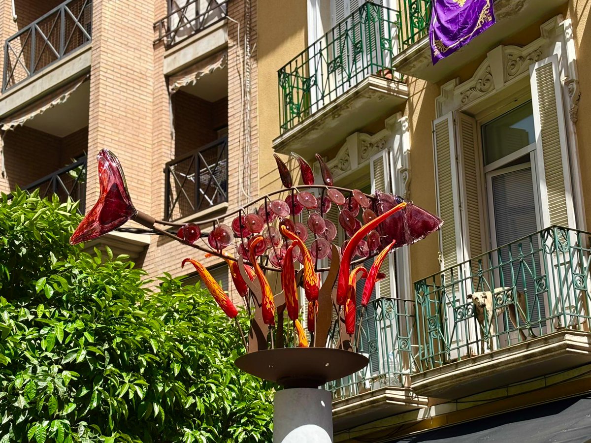 Ayuntamiento de Murcia tweet media