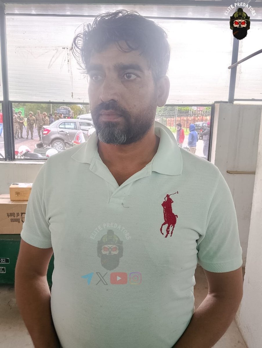 Elite Predators tweet media