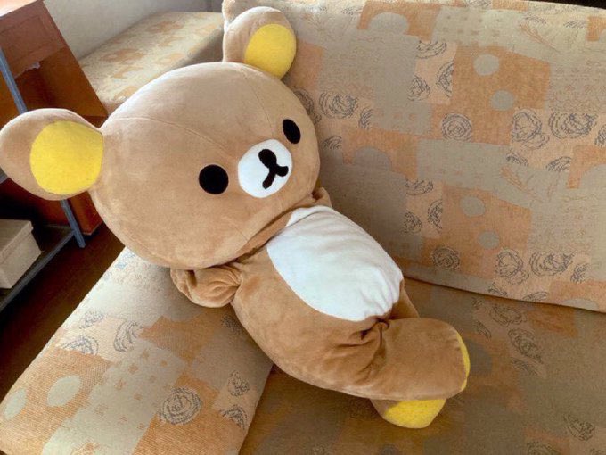 몽달이 tweet media