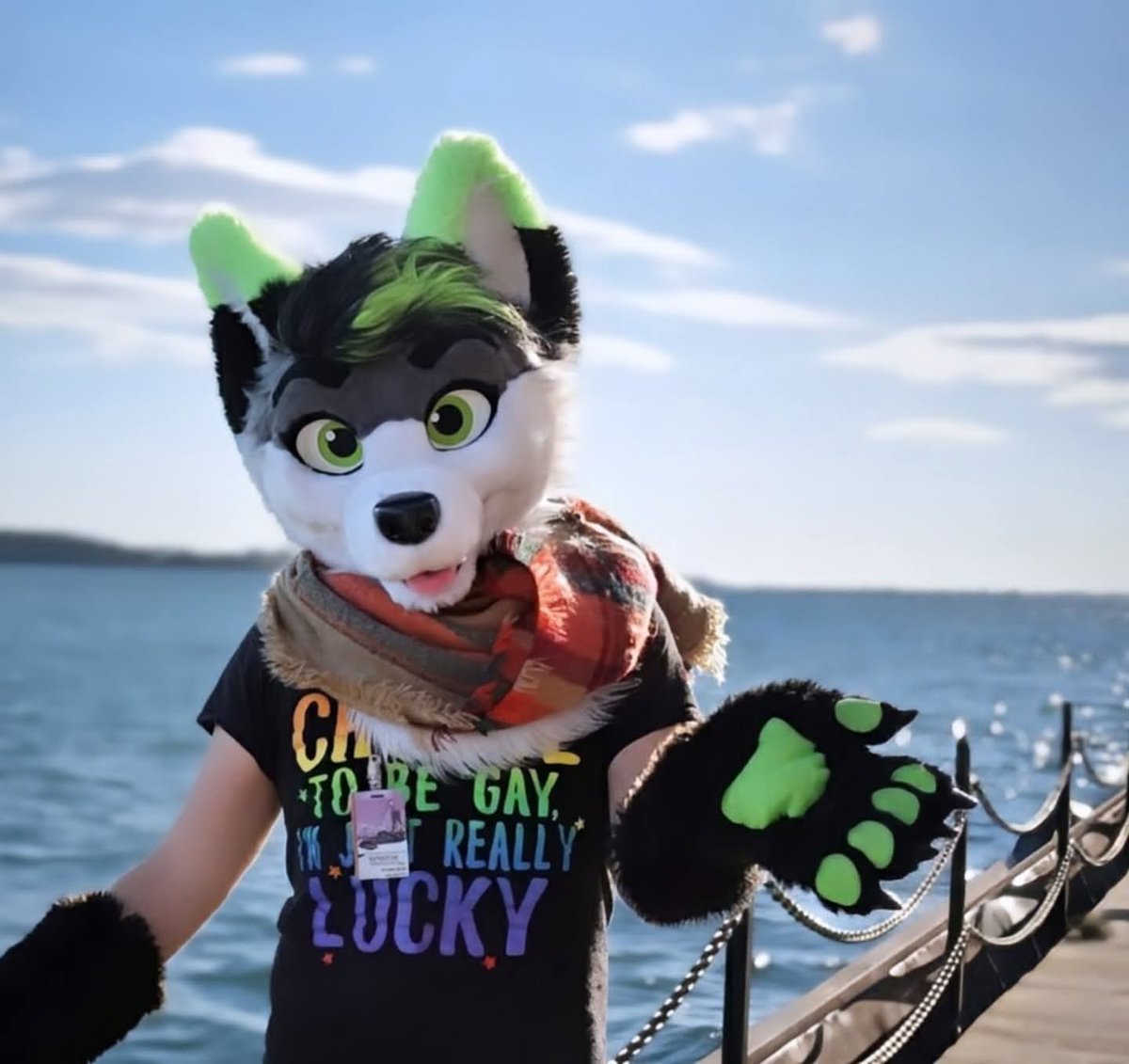 💚𝐅𝐢𝐫𝐞𝐟𝐥𝐲 𝐖𝐨𝐥𝐟𝐲~ 🔜AC tweet media