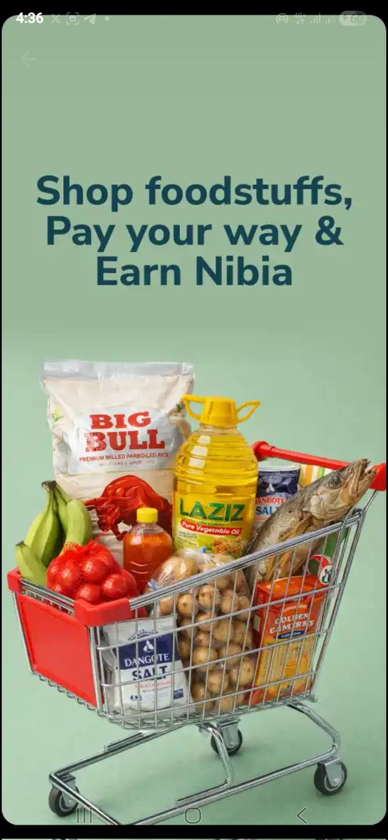 Vindicated Chidi 🕊 tweet media