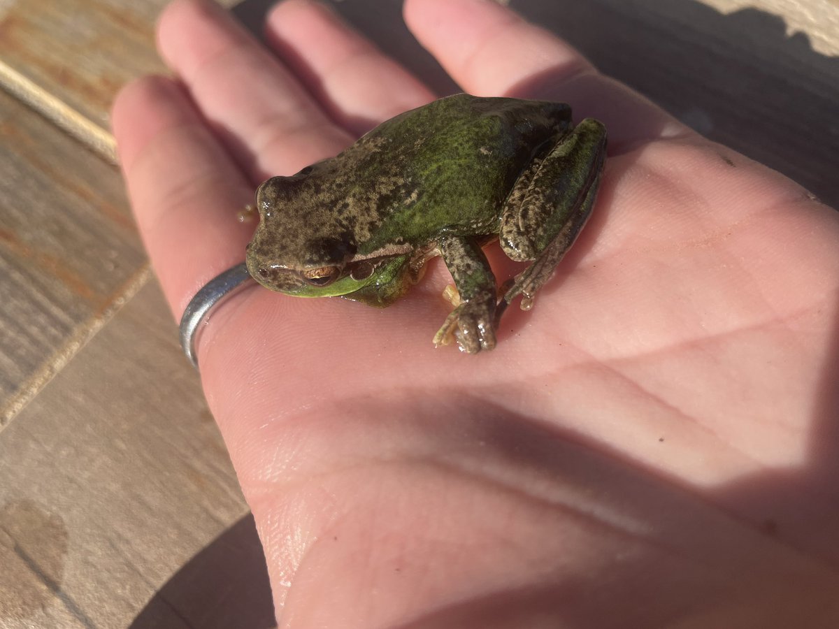 Louisearr5 tweet media