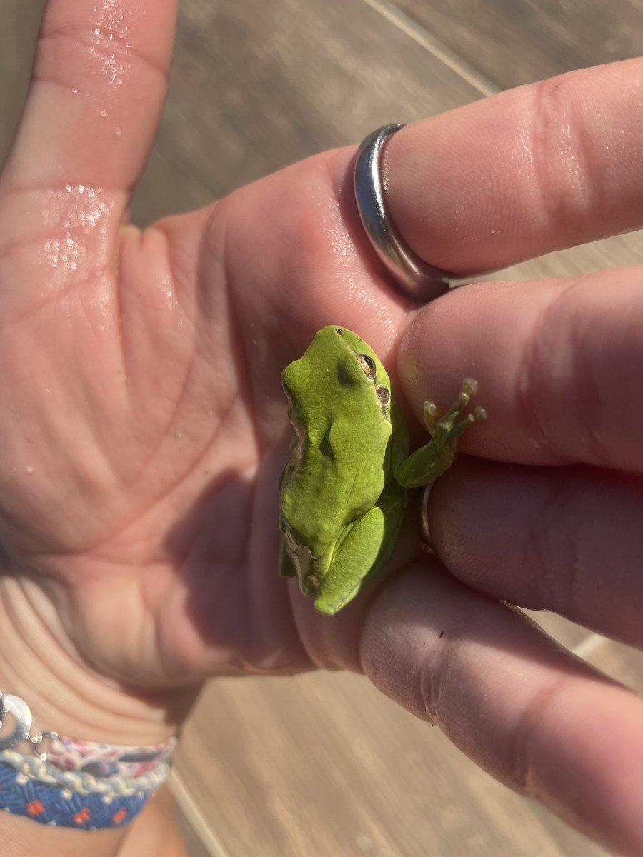 Louisearr5 tweet media