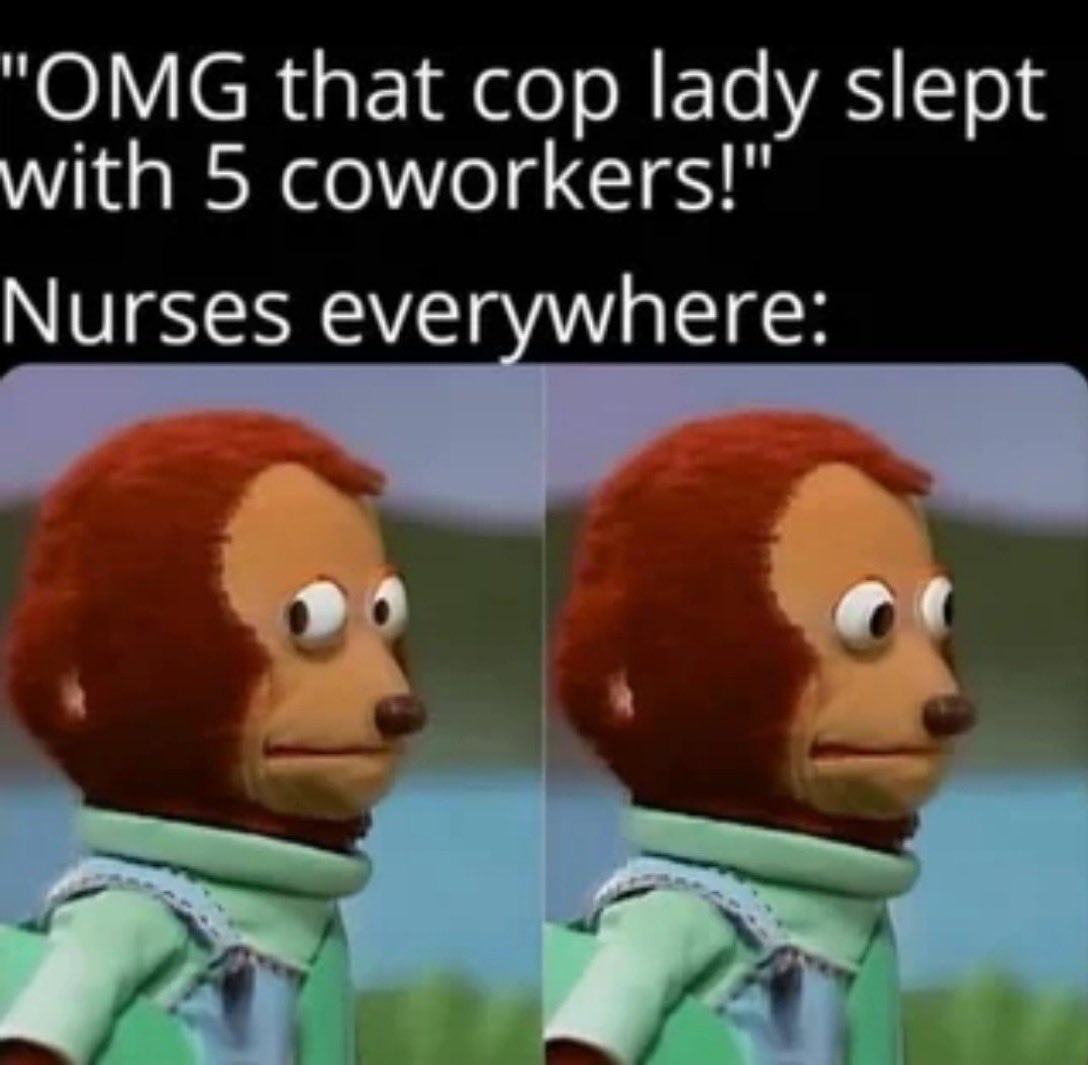 The Kitty Man tweet media