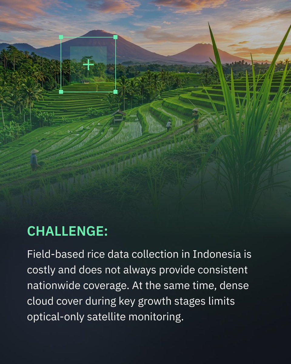 eos_da's tweet photo. 🇮🇩 Rice monitoring in #Indonesia is often limited by cloud cover and gaps in field data. We combine #SAR and optical data to ensure consistent rice field detection across the season.

➡️ Swipe to see how it works and read more: https://t.co/MODGZX6jkL https://t.co/E5UYzkLKUX