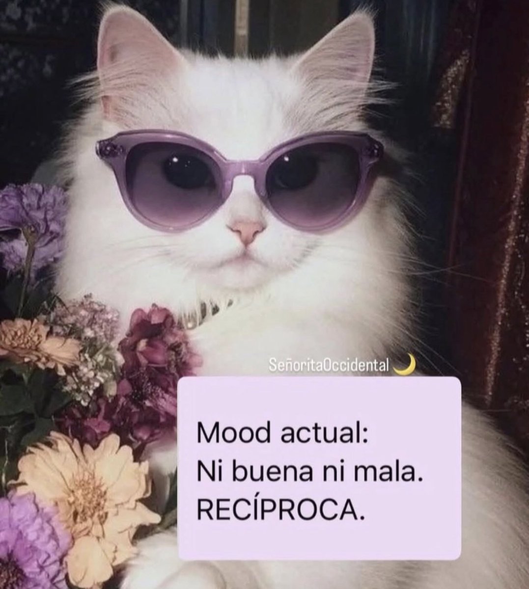 🌻TheMemeGirlSv🌻 tweet media