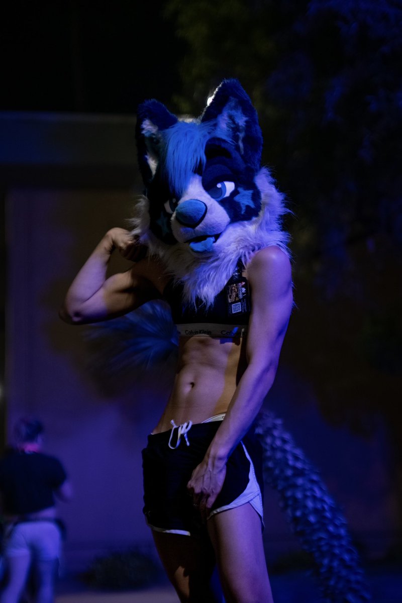 NovaFluffyHusky 🔜 MP? 🩵 tweet media