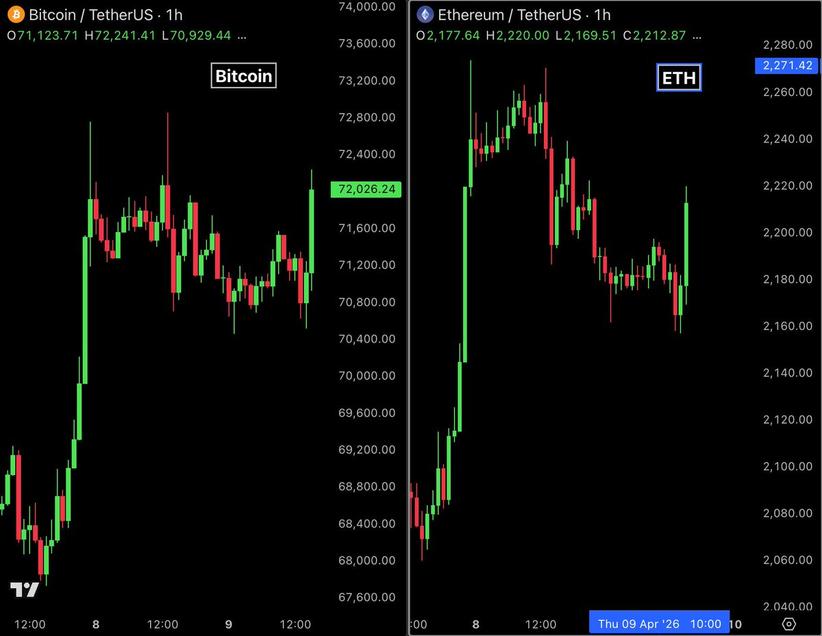 Bull Theory tweet media