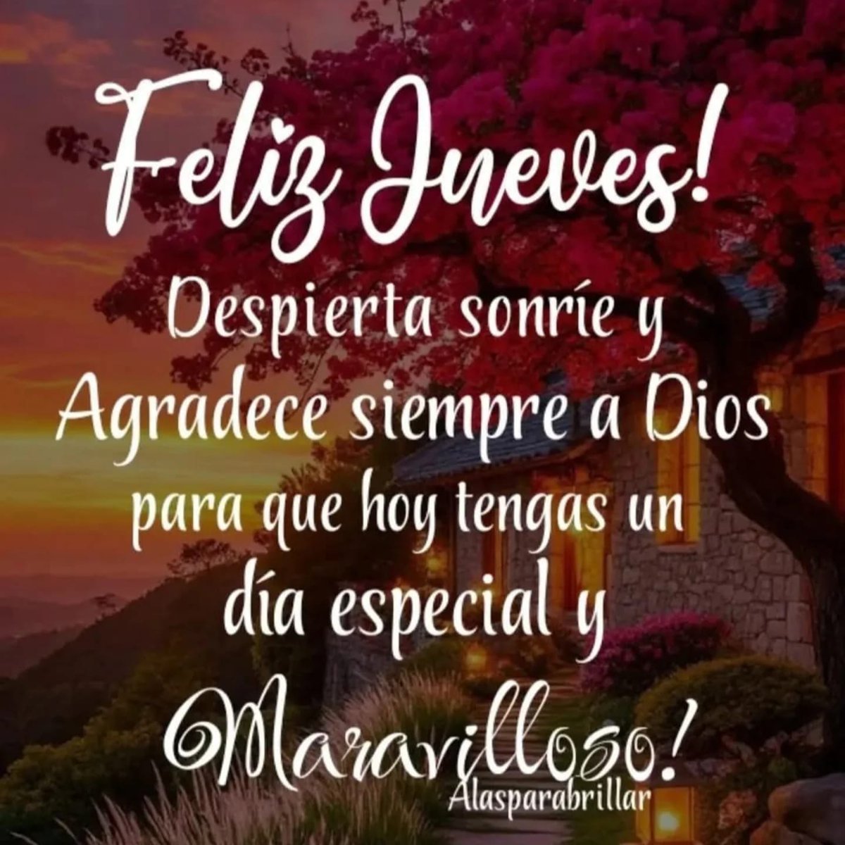 Buenos días, amables amigos, que el Creador nos colme de bendiciones y que éstas perduren por siempre en nuestros corazones y hogares, Amén.