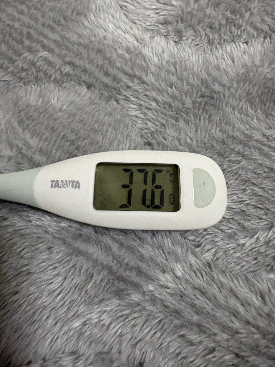 しぃやん tweet media