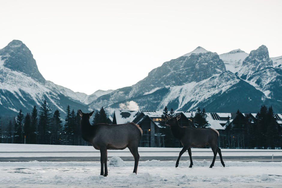 Dean Moore tweet media