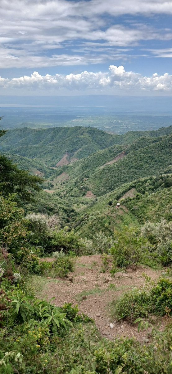 KOT Socha 🇰🇪 tweet media