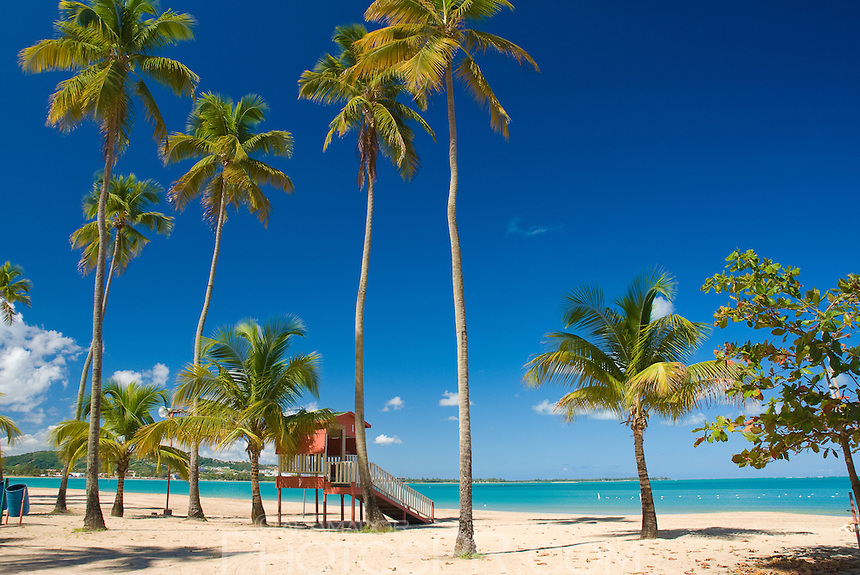 Perfect_Stayz's tweet photo. Enchase your property’s online visibility with a platform built for performance and results. Reach global travelers actively searching for premium vacation stays.
https://t.co/QhQDm3O6P3

#showcasenight #Complication
 #PremiumProperties #PropertyManagement #PerfectStayz #Luquillo https://t.co/i7LcDAGMXn
