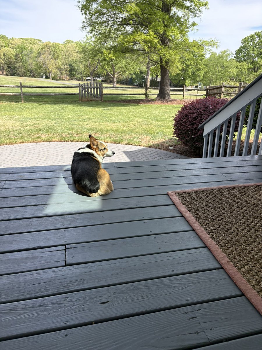 Jan Cale tweet media