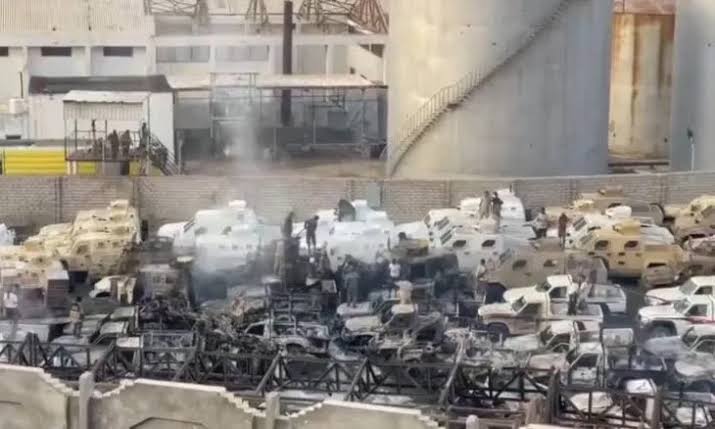 The Woodsman tweet media