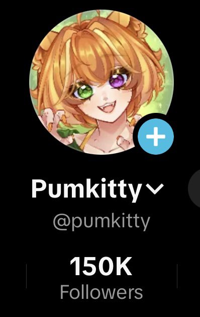 Pumkitty 🎃 tweet media