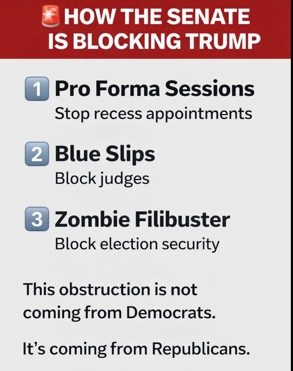 Pro act 🇺🇸 tweet media