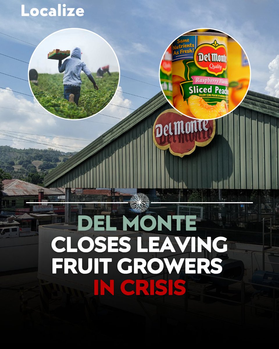 Zephyr Zoidis tweet media