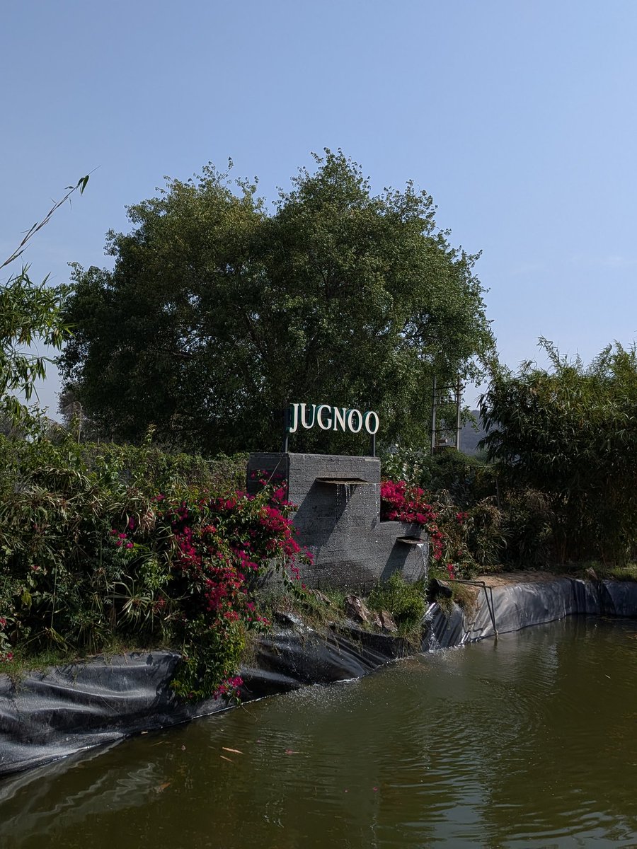 akash 𓅰 tweet media