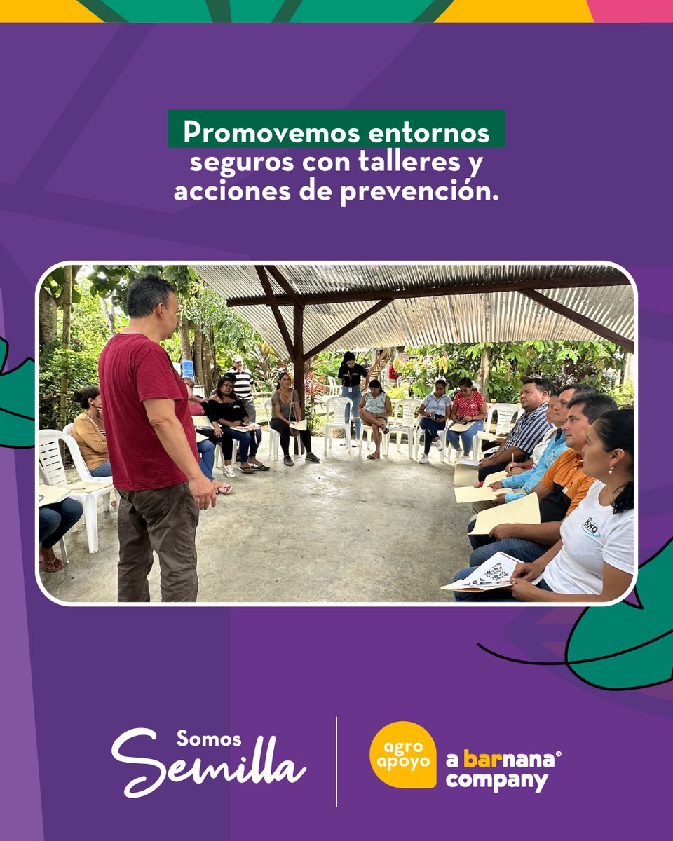 AgroapoyoEc's tweet photo. Somos Semilla 🌱 El proyecto de #Agroapoyo para erradicar la violencia y brechas que limitan el desarrollo de las mujeres en el agro. 💜💪
Impulsamos un entorno seguro y de igualdad de oportunidades. ¡Sembramos un futuro más justo! 🇪🇨🌾
#SomosSemilla #IgualdadLaboral #AgroEcuador #ImpactoSocial