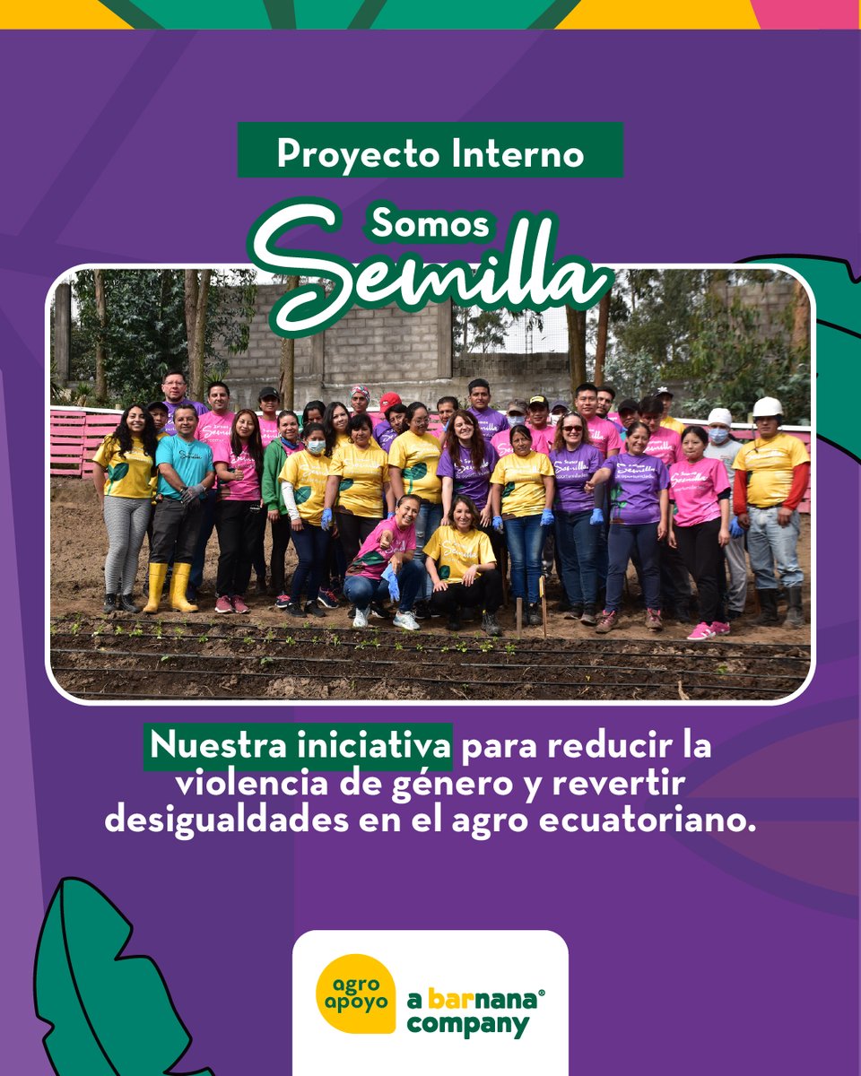 AgroapoyoEc's tweet photo. Somos Semilla 🌱 El proyecto de #Agroapoyo para erradicar la violencia y brechas que limitan el desarrollo de las mujeres en el agro. 💜💪
Impulsamos un entorno seguro y de igualdad de oportunidades. ¡Sembramos un futuro más justo! 🇪🇨🌾
#SomosSemilla #IgualdadLaboral #AgroEcuador #ImpactoSocial