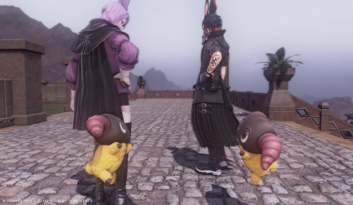 ちはや ☽ 𝕮𝖆𝖑𝖉𝖔💜🐇 tweet media