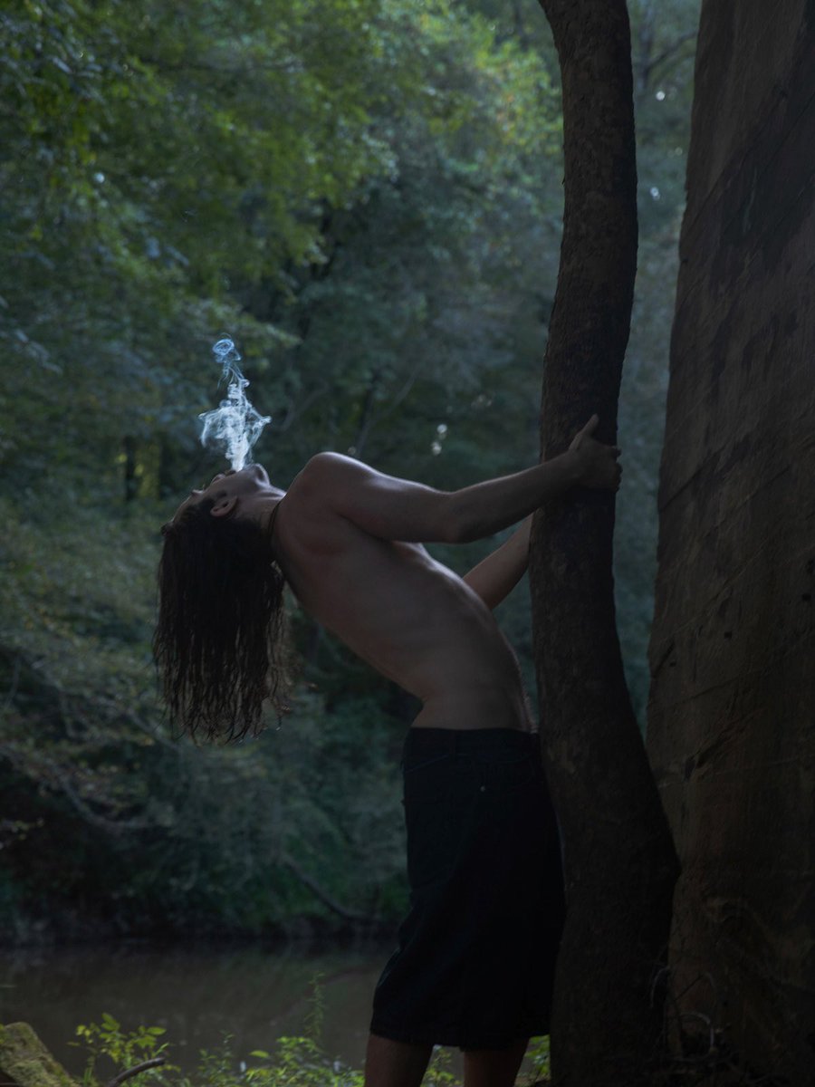 Alex Stoddard tweet media