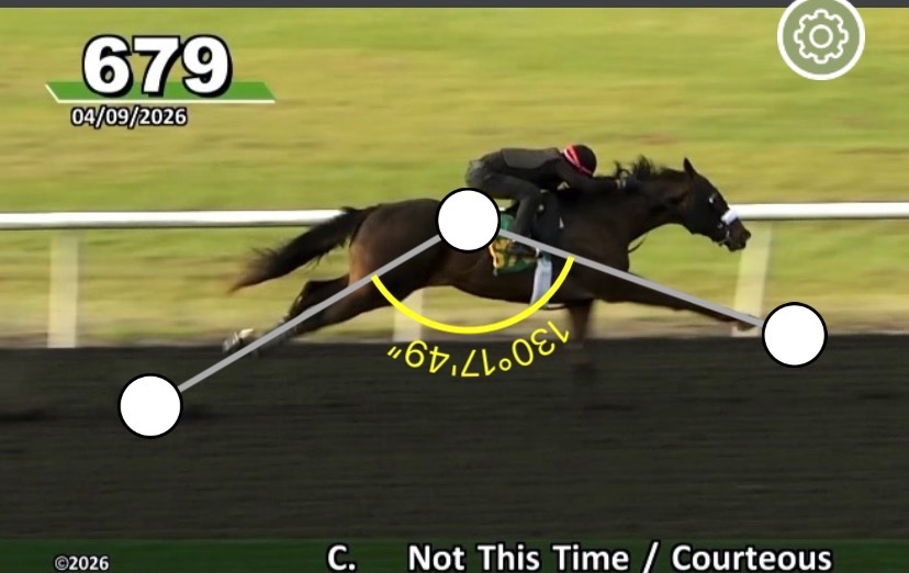 Save Horse Racing tweet media