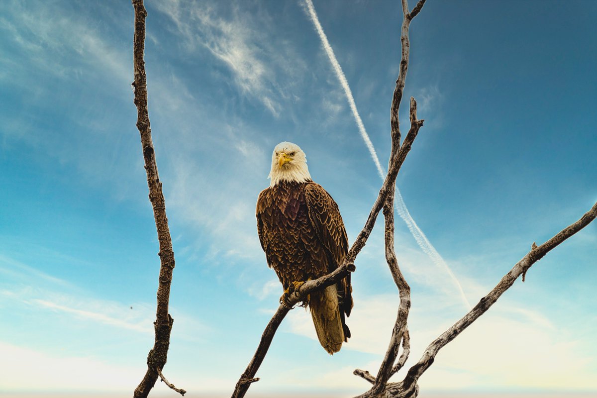 Ohio State Parks & Watercraft tweet media