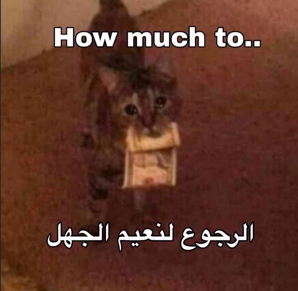 كيف ارجع