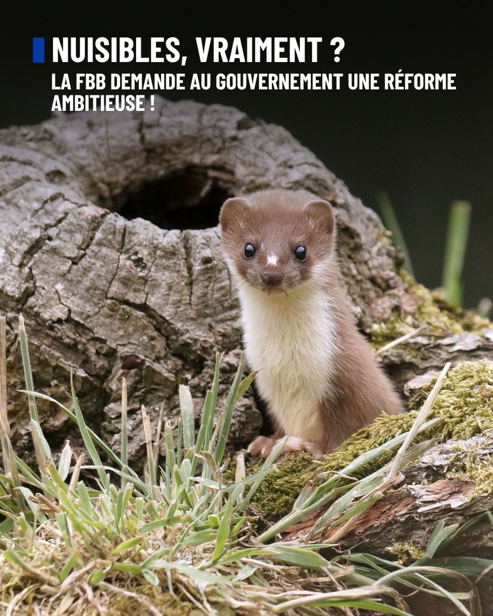 Fondation Brigitte Bardot tweet media