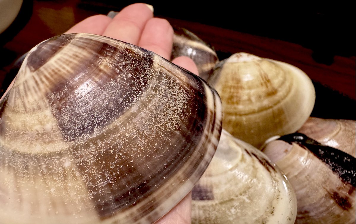 みけ会長🥝3/8 tweet media