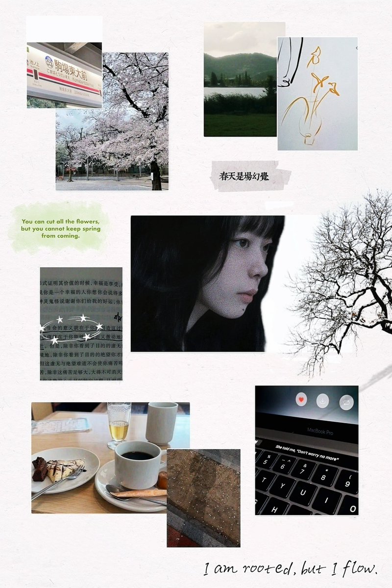 达黎加 tweet media